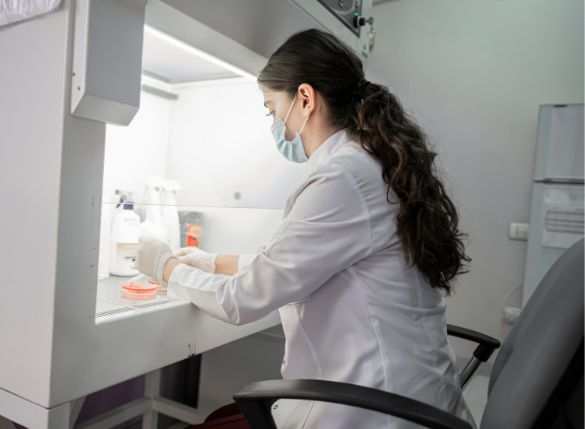 Research & Development